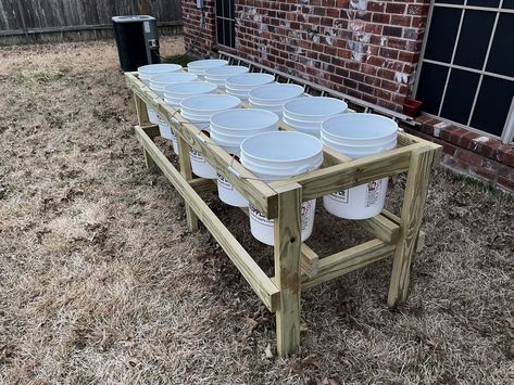 Bucket Garden Stand, Raised Container Garden, Bucket Garden, Raised Garden Beds Diy Vegetables, Bucket Planters, Bucket Gardening, Garden Vegetable, Diy Raised Garden, Raised Garden Beds Diy