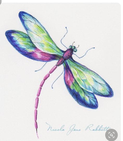 Drawing A Dragonfly, Dragonfly Artwork, Dragonfly Images, Dragonfly Drawing, Fly Drawing, Pencil Inspiration, Dragon Flys, Dragonfly Painting, Dragonfly Tattoo Design