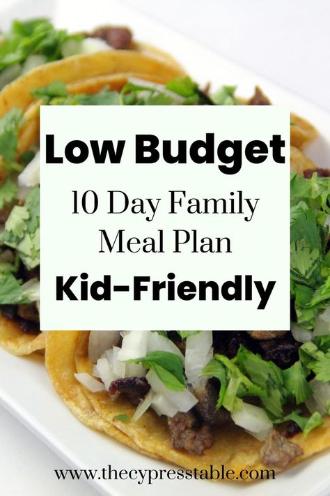 Do you want to feed your family well but you're on a tight budget? Then this post is just for you! Check out how I feed my family of 5 on a very low budget! 10 Day Meal Plan, Budget Meal Planning Families, Easy Weekly Meals, Family Meal Plan, Low Budget Meals, Eat At Home, Yoga Information, Day Meal Plan, Budget Family Meals