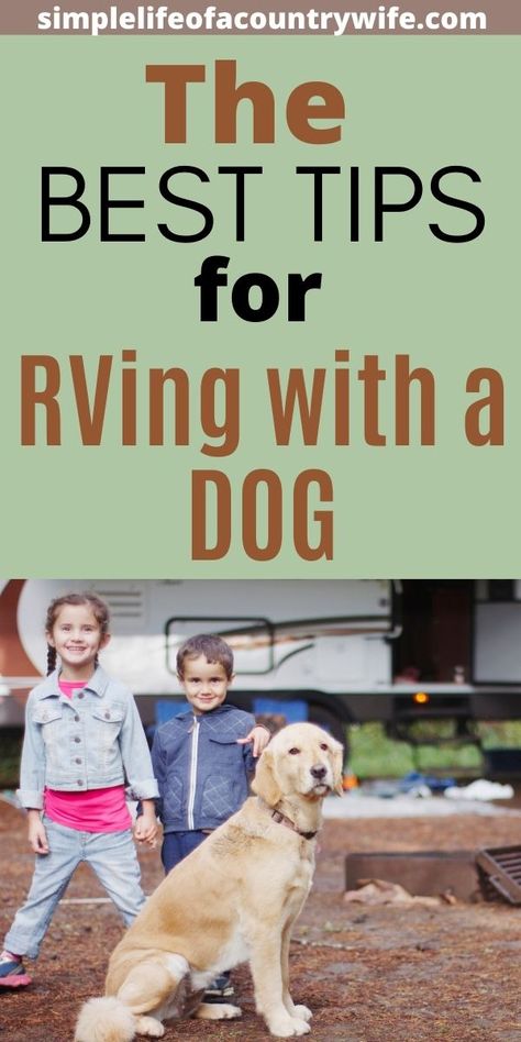 RVing with a dog Rv'ing With Dogs, Rv With Dogs, Rv Camping With Dogs, Fun Camping Activities, Rv Dog, Camper Dog, Pet Enclosures, Traveling With Dogs, Camper Home