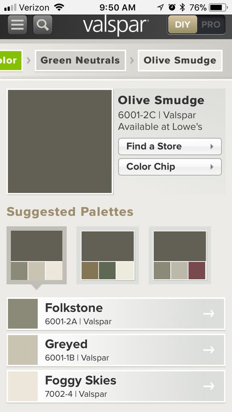 Valspar Olive Green, Valspar Olive Green Paint, Valspar Gray, Olive Green Paint, Color Chip, Green Paint, Ox, Paint Colors, Olive Green