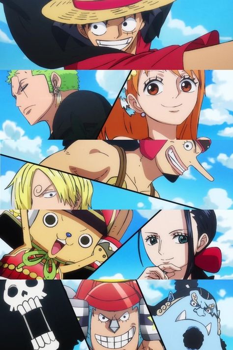 All One Piece Characters, Affordable Streetwear, Straw Hat Crew, One Piece Fairy Tail, رورونوا زورو, Pets Accessories, One Piece Photos, One Piece World, One Piece Cartoon