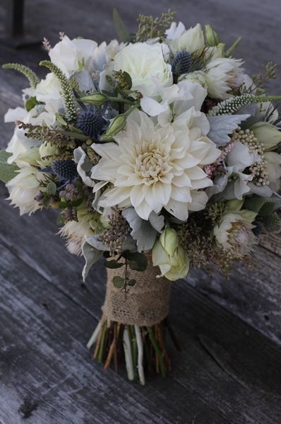 Dusty Miller Bouquet, Wedding Colors Blue, Dusty Miller, Dusty Blue Weddings, Bride Bouquets, Bridal Flowers, Beautiful Bouquet, Blue Wedding, Vintage Wedding