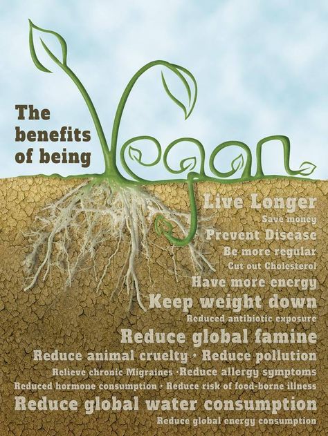 vegan: the benefits of being vegan. Benefits Of Being Vegan, Vegan Info, Reasons To Go Vegan, Vegan Benefits, Tomato Nutrition, Vegan Facts, Calendula Benefits, Fruit Health Benefits, Food Benefits