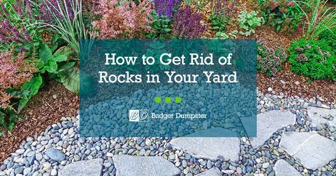 10 Innovative Things to Do With Rocks in Your Yard Things To Do With Rocks, Rock Walkway, Rock Wall Gardens, Rock Mulch, Kid Friendly Backyard, Rock Yard, Xeriscape Landscaping, Crushed Granite, Slate Rock