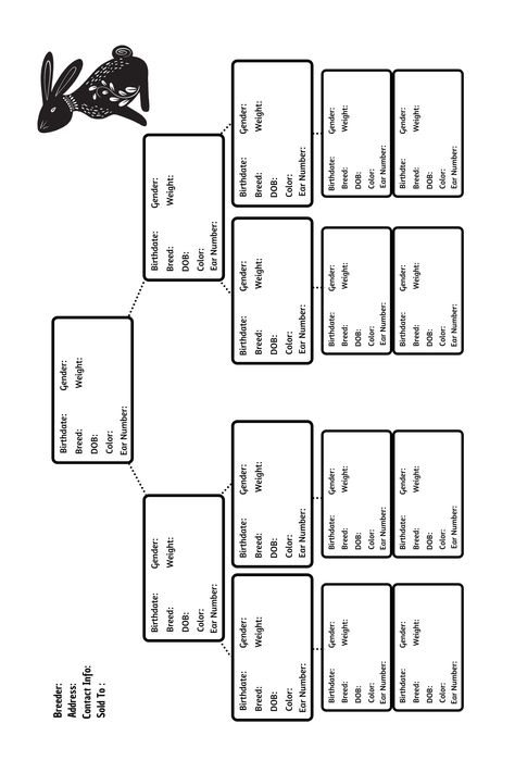 -A pedigree is nothing more than a record of the ancestry of the animal in general. rabbit record keeping book domestic rabbits breeds rabbit pedigree book rabbit pedigree chart rabbit breeding chart rabbit pedigree template  cat breeder gift idea Rabbit Breeding, Rabbit Barn Ideas, Bunny Petting Chart, Breeding Rabbits, Rabbit Breeding Chart, Rabbit Pedigree Template, Rabbit Pedigree Chart Printable Free, Rabbit Knowledge, Breeding Rabbits For Meat