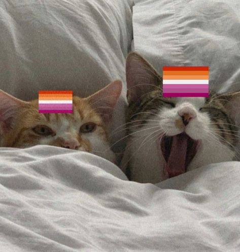 Marceline And Princess Bubblegum, Cat Couple, Lesbian Flag, Lgbtq Flags, Sailor Moon Manga, Two Cats, Cat Icon, Pride Flag, Pride Flags