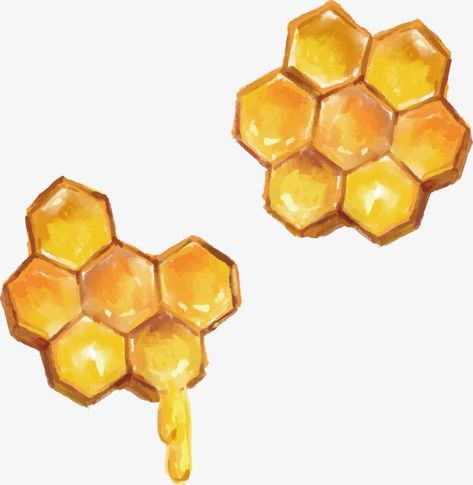 Honey Come Drawing, Honey Images Aesthetic, Honey Painting Art, Bee Honeycomb Painting, Bee Png Aesthetic, Honey Comb Drawing Realistic, Beehive Drawing Honeycombs, Honeycomb Drawing Art, Dripping Honeycomb Drawing