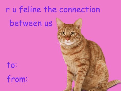 Valentines Day Cards Tumblr, Goofy Valentines, Weird Valentines Cards, Funny Valentines Cards For Friends, Meme Valentines Cards, Corny Valentines, Bad Valentines Cards, Friend Valentine Card, Weird Valentines