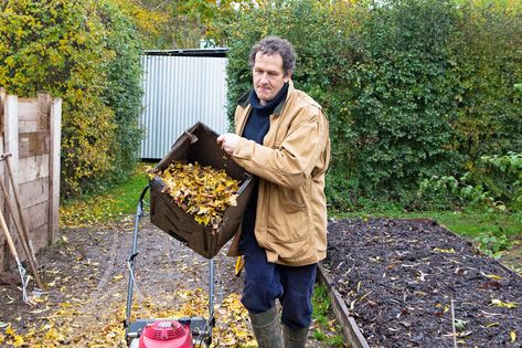 What To Plant In October, Leaf Mould, Planting Garlic, Patio Trees, Planting Onions, Fruits And Flowers, Bean Seeds, Cold Frame, Spring Bulbs