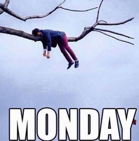 Monday Memes Funny, Monday Humour, Hump Day Humor, Monday Greetings, Tired Funny, Transformation Quotes, Motivational Memes, Workplace Humor, I Hate Mondays