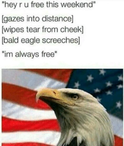 Freedom. #Murica #funny 4th Of July Meme, America Memes, Funny 4th Of July, Fresh Memes, Wholesome Memes, Daily Memes, Funny Laugh, Bones Funny, Bald Eagle