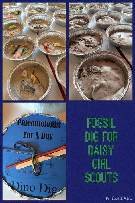 Dinosaur I bought 4 packs of 7in pie tins at the dollar store along with plastic dinosaurs and a bag of shells. To make the containers I mixed 2 parts sand ($2.50 at Home Depot) to one part plaster of Paris (also Home Depot $7) and one part water.    I poured about a cup of the mix into each container and spread it around. Then I stuffed two shells and two dinos in each. Next, I covered the the whole thing in more mix. Let them dry. I had to mess with the consistency but I found doing it in a di Fossil Birthday Party, Dinosaur Science, Jurassic Park Birthday Party, Dinosaur Birthday Theme, Jurassic Park Birthday, Dinosaur Dig, Plastic Dinosaurs, Daisy Scouts, Dinosaur Themed Birthday Party