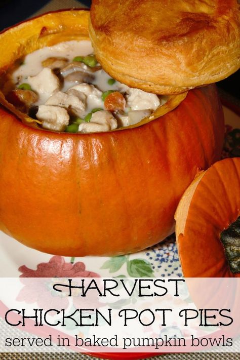 Pumpkin Baking, Lunch At Home, Chicken Pot Pies, Fall Meal, Pumpkin Bowls, Easy Lunch Ideas, Pot Pies, Roast Pumpkin, Easy Lunch