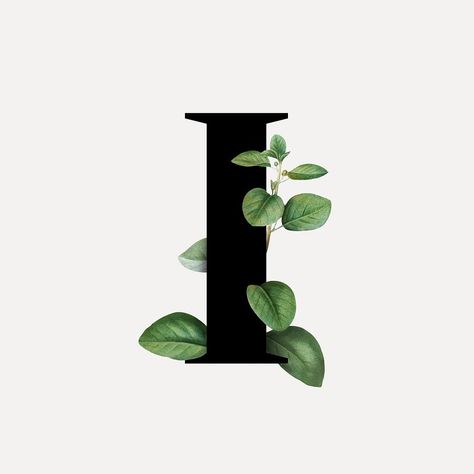 Botanical capital letter H illustration | Premium PSD - rawpixel H Floral Letter, Capital H, Botanical Capital Letter, Illustration Botanical, Letter H, Capital Letters, Free Illustrations, Lettering Fonts, Royalty Free