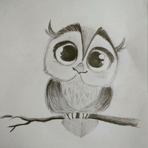 Cute Owl Sketch, How To Draw An Owl In A Tree, Cartoon Bird Drawing Simple, Cute Owl Drawing Simple, Owl Sketch Simple, How To Draw An Owl, Owl Pencil Sketch, Owl Drawing Sketches, Simple Owl Drawing