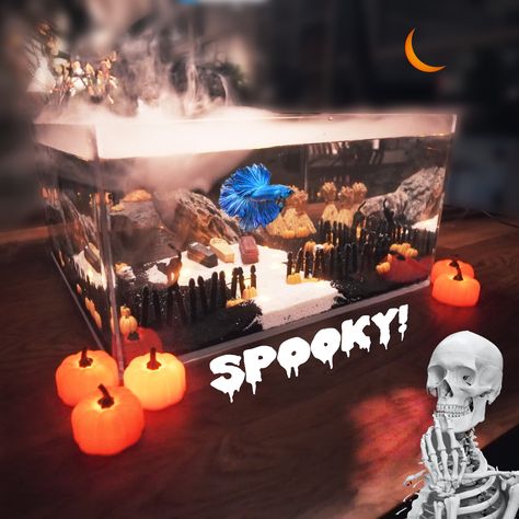 Halloween Fish Tank Ideas, Spooky Fish Tank Ideas, Halloween Fish Tank Decor, Spooky Fish Tank, Spooky Aquarium, Halloween Aquarium, Halloween Fish Tank, Betta Tanks, Unique Fish Tanks