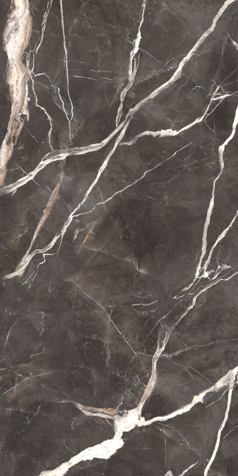 Calacatta Cenerino - EnergieKer Dark Marble Texture, Stone Wall Texture, Marble Home, Wall Texture Design, Tile Texture, Wall Exterior, Calacatta Marble, Bathroom Design Inspiration, Granite Countertops Kitchen