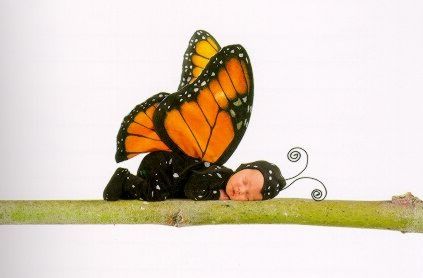 Ann Geddes, Anne Geddes, Foto Baby, Butterfly Baby, Butterfly Kisses, Baby Portraits, Baby Halloween Costumes, Baby Halloween