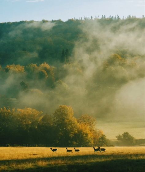 Rural England English Countryside, Jane Austin Aesthetic, Pemberly Aesthetic, Pride And Prejudice Book Aesthetic, Pride And Prejudice Aesthetic Wallpaper, Pride And Prejudice Wallpaper, Proposal Aesthetic, Pride And Prejudice Aesthetic, Jane Austen Aesthetic