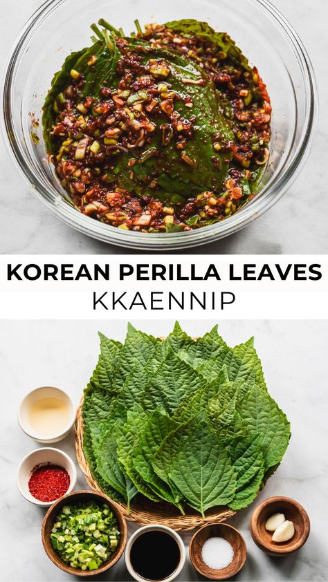 Korean perilla leaves with ingredients on the bottom Korean Perilla Leaves Recipe, Asian Vegetable Side Dish Recipes, Perilla Recipes, Perilla Leaves Recipes, Asian Party Food, Korean Side Dish Recipes, Shiso Recipe, Chinese Salads, Perilla Leaves