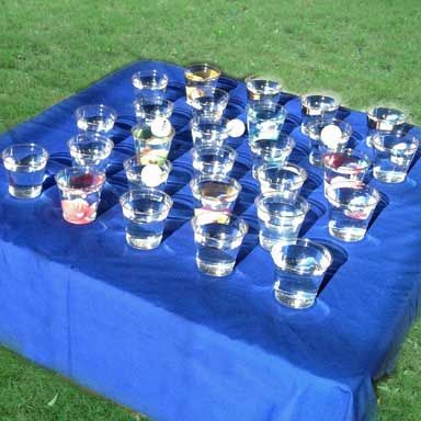 Fish Cup Carnival Game -- you just need ping pong balls, plastic fish and clear plastic cups from your local store! Carnival Games Ideas, Fish Bowl Game, Fall Festival Booth, Booth Games, Pta Events, Diy Carnival Games, Fall Festival Games, Carnival Booths, Fest Ideas