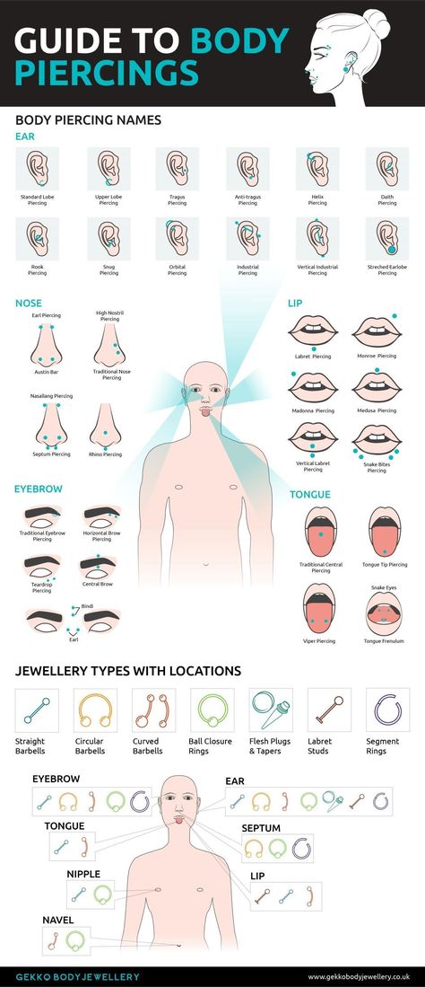 Types Of Body Piercings, Nasallang Piercing, Rhino Piercing, Snake Eyes Piercing, Eyebrow Piercing Jewelry, Ear Piercings Chart, Piercing Chart, Eye Piercing, Types Of Ear Piercings