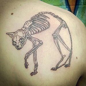 cat skeleton Cat Jaw Bone Tattoo, Cat Bones Tattoo, Zombie Cat Tattoo, Cat Skeleton Drawing, Skeleton Cat Tattoo, Cat Skeleton Tattoo, Animal Skeleton Tattoo, Skeletal Tattoo, Cats Skeleton