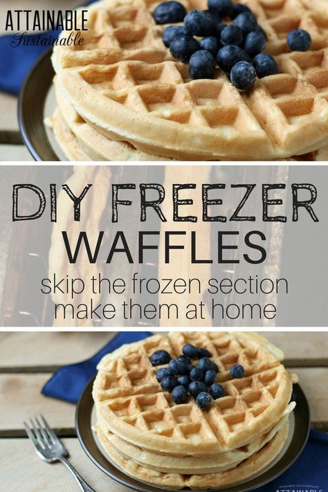 Freezing Waffles, Freezer Waffle Recipe, Freezer Waffles, Healthy Waffle Recipe, Healthy Waffle, Waffle Recipe Healthy, Quick Easy Breakfast, Easy Waffle Recipe, Eggo Waffles