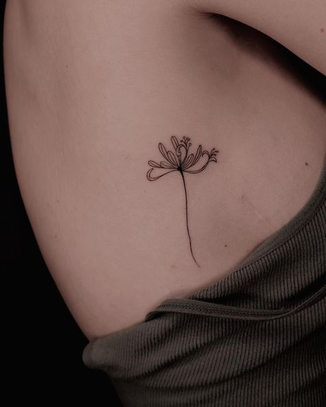 Masha S • Fine Line Tattoo • New York City | My interpretation of Honeysuckle Flower in Fine Line Tattoo Inquiries: LINK IN BIO • #finelinetattoo #finelinetattoonewyork... | Instagram Honeysuckle Vine Tattoo, Honeysuckle Flower Tattoo, Honeysuckle Tattoo Design, Honeysuckle Tattoo Simple, Tattoo New York, Honeysuckle Tattoo, Tattoo Fine Line, Tattoo New, Honeysuckle Flower