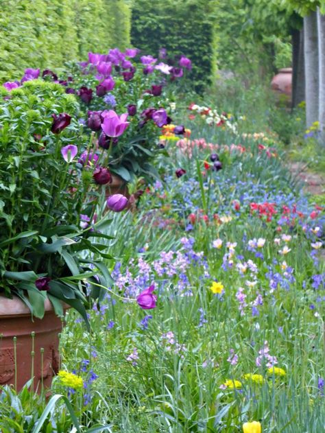 Sissinghurst Castle purple tulips by Clare coulson Sissinghurst Garden, Famous Gardens, Gardening Trends, Perennial Shrubs, English Cottage Garden, Garden Animals, Flower Landscape, Spring Bulbs, A New World