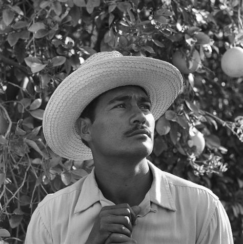 Bracero-Program-Mexican-Border-a-0028 Mexican People, Mexican Border, Migrant Worker, Mexico History, Mexican Men, Hispanic Heritage, Mexican Culture, People Photography, Photo Essay