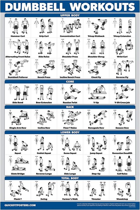 Dumbbell Workout Routine, Dumbbell Workout Plan, Exercise Poster, Free Weight Workout, Dumbbell Workout At Home, Dumbbell Workouts, Fitness Studio Training, Workout Hiit, Full Body Dumbbell Workout