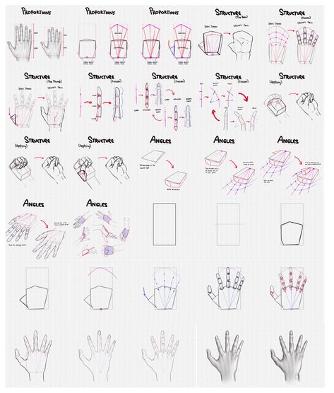 How to Draw Hands – A Step by Step Guide – Artlex Basic Anatomy Reference, Hands Video, Hands Step By Step, Hand Tutorial, Famous Drawing, Step By Step Sketches, How To Draw Fingers, Kitty In Love, Small Drawing Room Interior Design