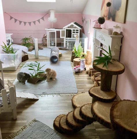 Indoor rabbit setup Indoor Bunny House, Diy Bunny Cage, Indoor Rabbit House, Indoor Rabbit Cage, Rabbit Enclosure, Rabbit Habitat, Pet Rabbit Care, Bunny Hutch, Ideas Habitaciones