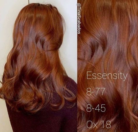 Chocolate Cooper, Cooper Hair, Cheveux Oranges, Red Hair Inspo, Ginger Hair Color, Hair Color Auburn, Hair Shades, Auburn Hair, Hair Color And Cut