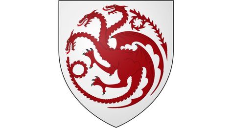 Asoiaf Oc, Drogon Game Of Thrones, Medieval Shields, Manga Hair, Watchful Eye, Game Of Thrones Houses, Dark Ages, A Song Of Ice And Fire, Coat Of Arms