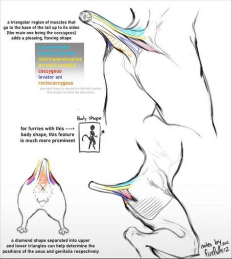 Tail On Human Drawing, Human With Tail Anatomy, Winged Human Poses, Olympic Body Types, Idle Pose Drawing Reference, Scorpion Tail Drawing Reference, Side Glance Reference, Tiptoe Reference, Sayter Drawing