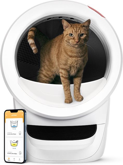 LITTER-ROBOT 4 Automatic Self-Cleaning Cat Litter Box, White - Chewy.com Litter Tracking, Litter Robot, Self Cleaning Litter Box, Cleaning Litter Box, Cat Litter Tray, National Cat Day, Litter Tray, Senior Cat, Cat Parenting