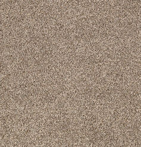 Karastan Upscale Living Carpet | RC Willey Coloring Combinations, Living Carpet, Karastan Carpet, Pet Urine, Plush Carpet, Design Advice, Carpet Flooring, Fine Furniture, Design Consultant