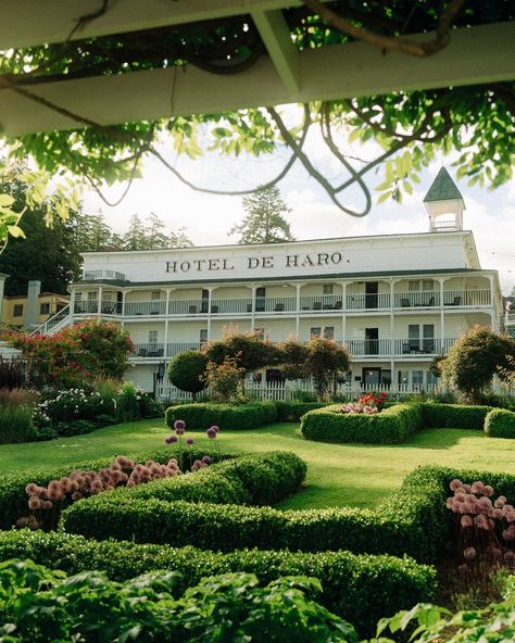 This is your sign to visit Roche Harbor before the summer season ends. The flower gardens are reason enough for me! 🌸 🥰 #rocheharbor #rocheharborresort #sanjuanisland #sanjuanislands #themandagies #pnw #pacificnorthwest #washingtonstate #truetonature Roche Harbor, San Juan Island, San Juan Islands, Flower Gardens, Washington State, Pacific Northwest, Summer Season, All Pictures, Flower Garden