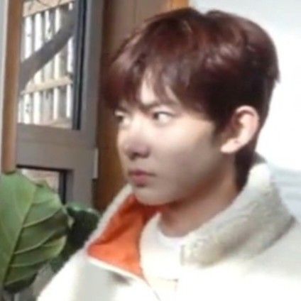 Heeseung Reaction Pic, Heesung Memeable Face, Heeseung Angry Face, Heeseung Funny Face, Heeseung Funny Pic, Heeseung Funny, Bambi Heeseung, A Guide To Deduction, Baby Hamster