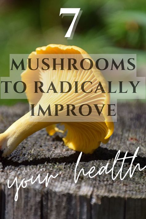 7 mushrooms to radically improve your health. From the grocery store "regulars" to the exotic. Learn about health benefits of each mushroom and how to incorporate them into your diet depending on your health goals and concerns. Different Mushrooms, Mushroom Benefits, Herbs For Health, Healing Herbs, Improve Digestion, Improve Health, Holistic Health, Lose Belly Fat, Grocery Store