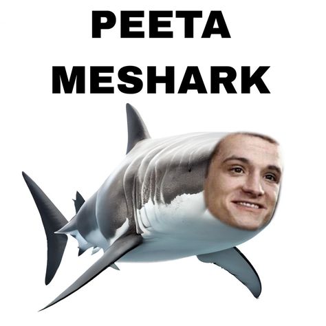 Peeta Mellark Brainwashed, Peeta Mellark As A Rock, Peeta Mellark Funny Pictures, Josh Hutcherson Cursed, Peeta Mellark Full Body Pic, Peeta Mellark Tattoo, I Love Peeta Mellark, Josh Hutcherson Peeta Mellark, Peeta Mellark Aesthetic Wallpaper