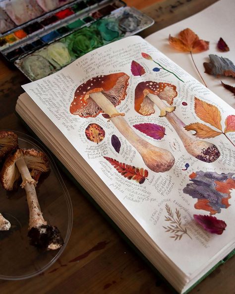 Fungi Painting, Anniversary Infographic, Kunstjournal Inspiration, Botanical Sketchbook, Arte Sketchbook, Mushroom Art, Sketchbook Journaling, Sketchbook Inspiration, Nature Journal