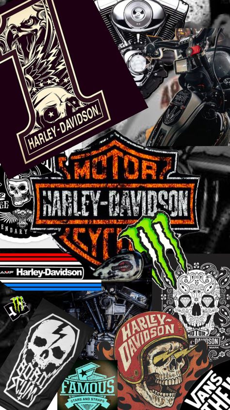 Amf Harley, Harley Davidson Posters, Harley Davidson Artwork, Harley Davidson Wallpaper, Famous Stars And Straps, Harley Davidson Motor, Irish History, Famous Stars, Car Wallpapers