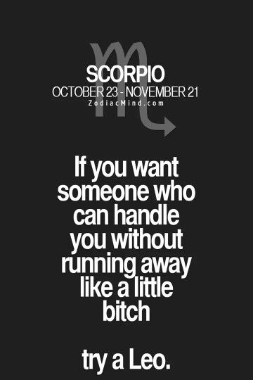 Leo And Scorpio Relationship, Zodiac Notes, Leo Relationship, Scorpion Facts, Leo Compatibility, Scorpio Relationships, Leo Man, Zodiac Quotes Scorpio, Leo Zodiac Quotes