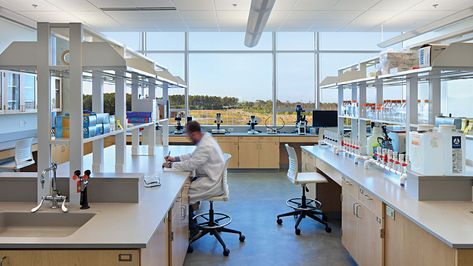 Top 10 Tips for Successful Lab Design - Clark Nexsen Laboratory Design, Logos Retro, Biology Labs, Chemistry Labs, Conference Design, Dental Lab, Laboratory Science, Research Lab, Science Lab