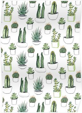 Succulent Throw Pillow, Cactus Fabric, Trendy Plants, Succulent Art, Green Cactus, Watercolor Cactus, Iphone Backgrounds, Plant Aesthetic, Trendy Wallpaper