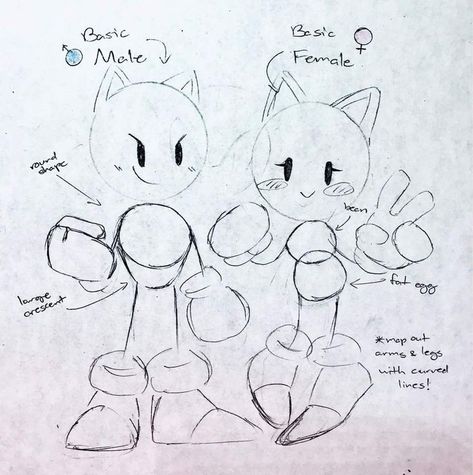 Sonic The Hedgehog Art Style, How To Draw A Sonic Character, Sonic Character Anatomy, Sonic The Hedgehog Sketch Art, Sonic Anatomy Poses, Sonic The Hedgehog Drawing Reference, How To Draw Sonic Body Base, How To Draw Sonic Style, Sonic The Hedgehog Anatomy